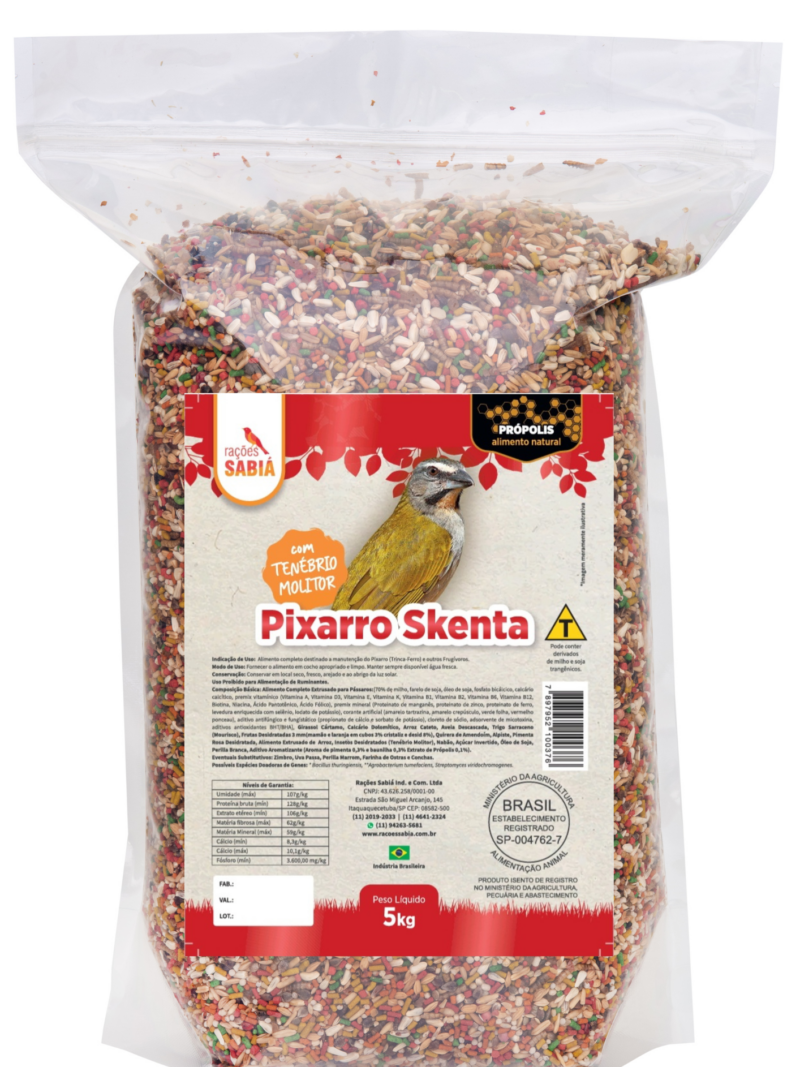PIXARRO SKENTA