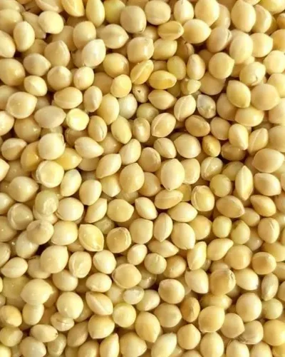 PAINÇO ALEMÃO BRANCO