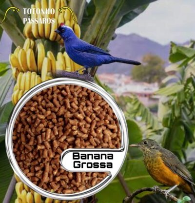 Ração de Banana Grossa 5 Kg