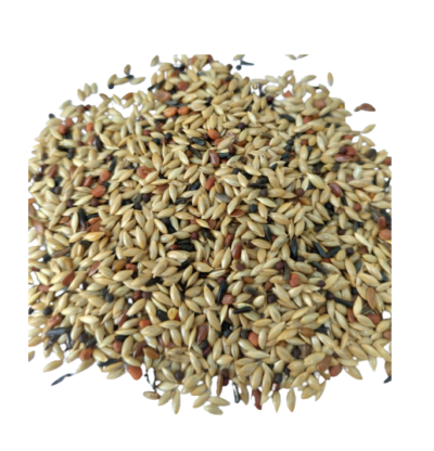 Alimento para Canário Belga Top 5 Kg